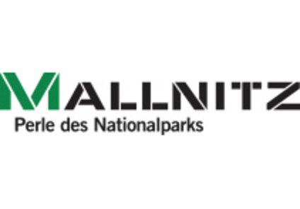 _0001_Vector_Smart_Object